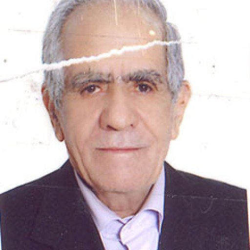 تصویر محمد فیض