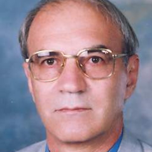 تصویر جواد تجلائی