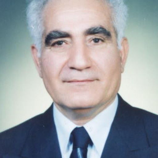 تصویر تقی فرزانه زندی