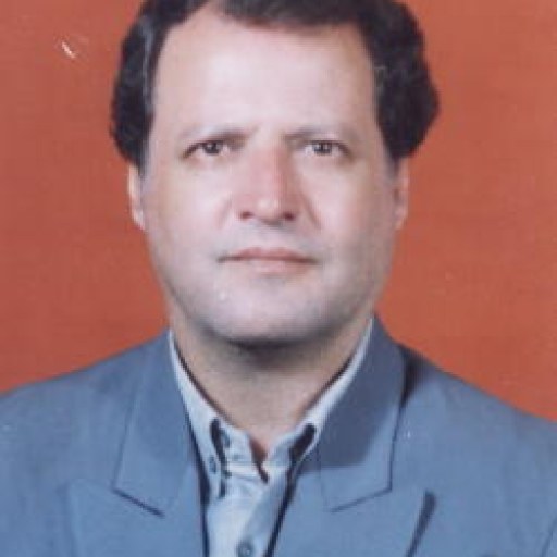 تصویر حسین شیر محمدی