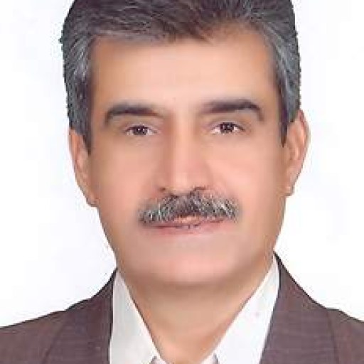 تصویر سیدحسن محمود آبادی