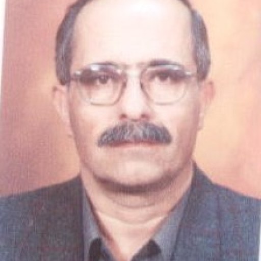 تصویر سیدحسین هاشمیان