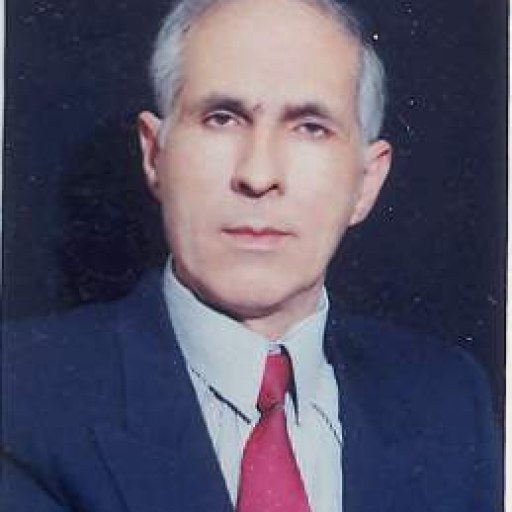 تصویر سیدمحمد کمالی