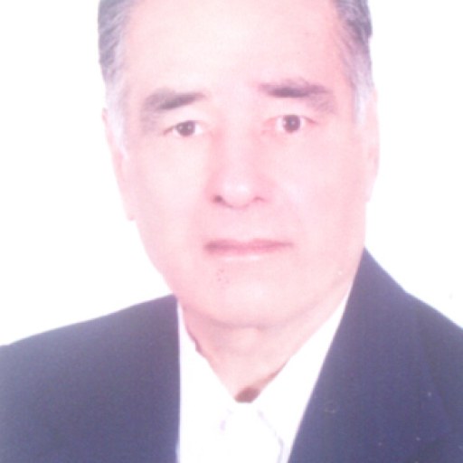 تصویر محمدحسین کلینی