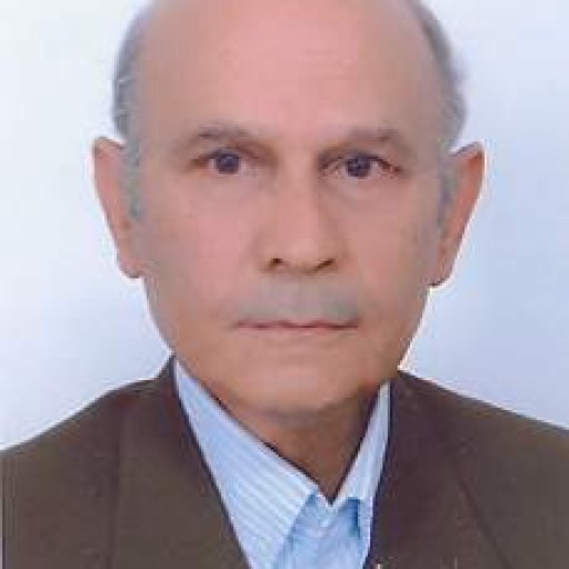 تصویر علی زامهران