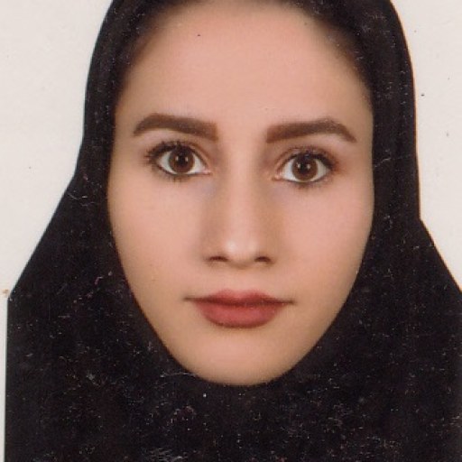 تصویر سیده پریسا اندک