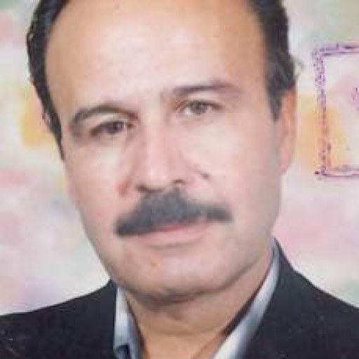 تصویر مرتضی خیابانی