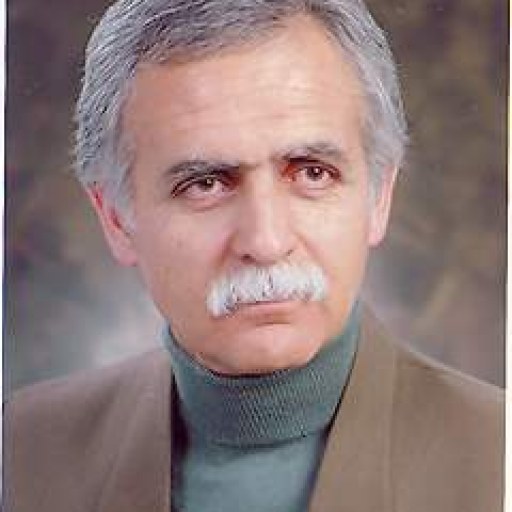 تصویر سید جواد امامی