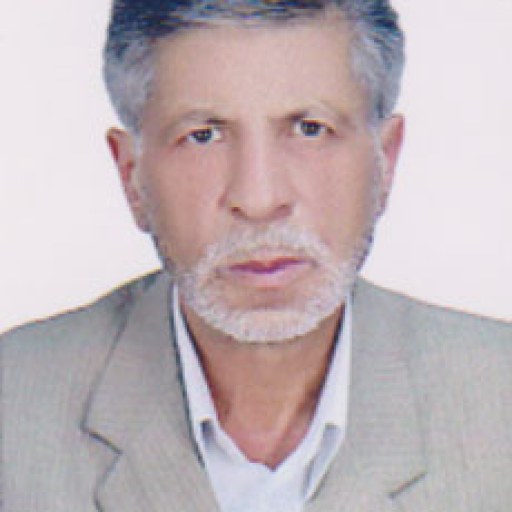 تصویر خسرو افشاری فرزانه