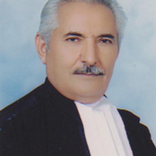 تصویر ناصرالدین حسینی