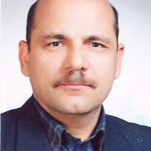 تصویر اصلان نجف کیا