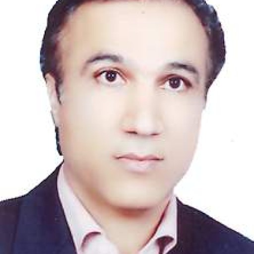 تصویر رضا ولویون