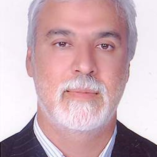 تصویر محمود مولوی