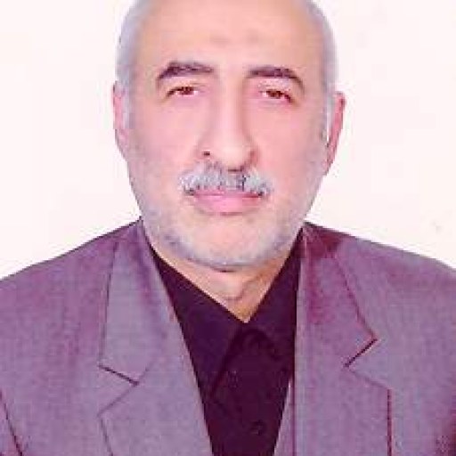 تصویر محمدرضا طلاچی لنگرودی
