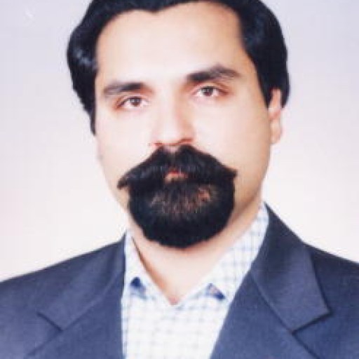 تصویر مهران محمودی