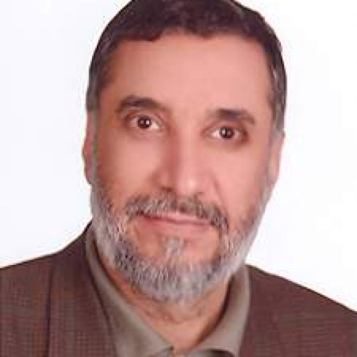 تصویر محمدرضا احمدی