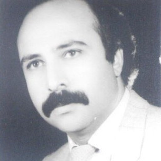 تصویر شهریار بهرامی