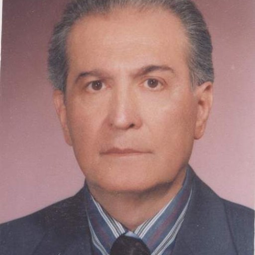 تصویر محمدعلی مهدوی ثابت