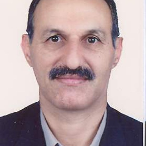 تصویر حسین ادیبی