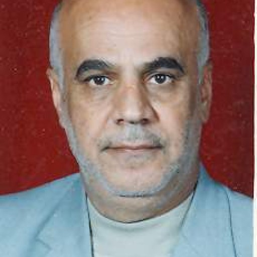 تصویر عین اله حبیبی