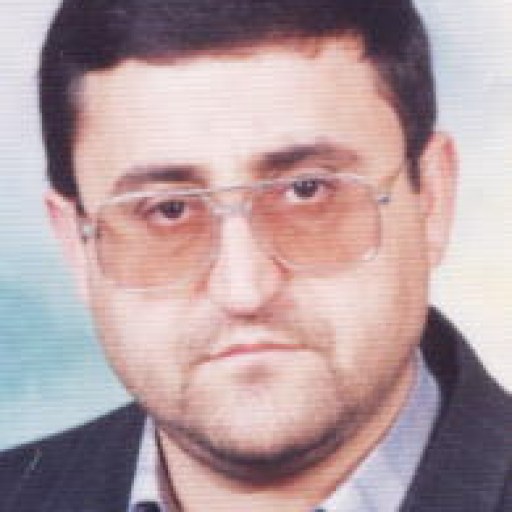 تصویر عبدالرسول دیانی