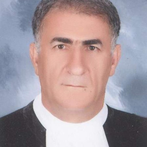 تصویر علی حیدری عمادی
