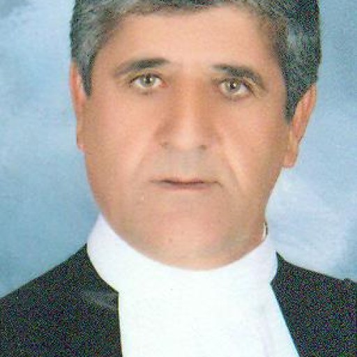 تصویر محمد گودرزی