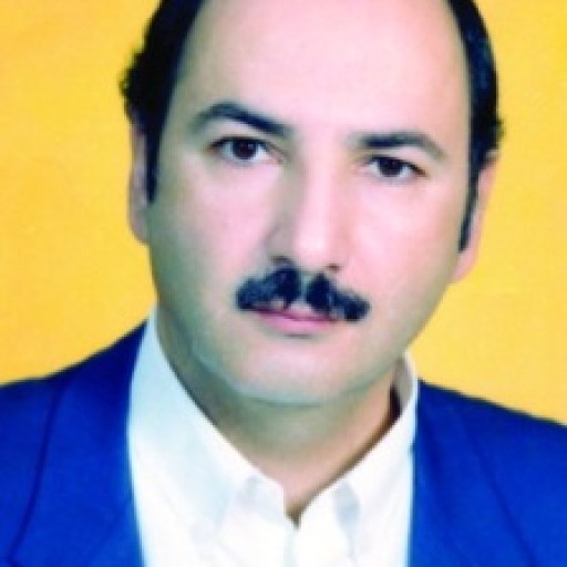 تصویر محمود کامران زاده فومنی