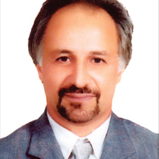 تصویر محمدرضا اسدی آذربایجانی