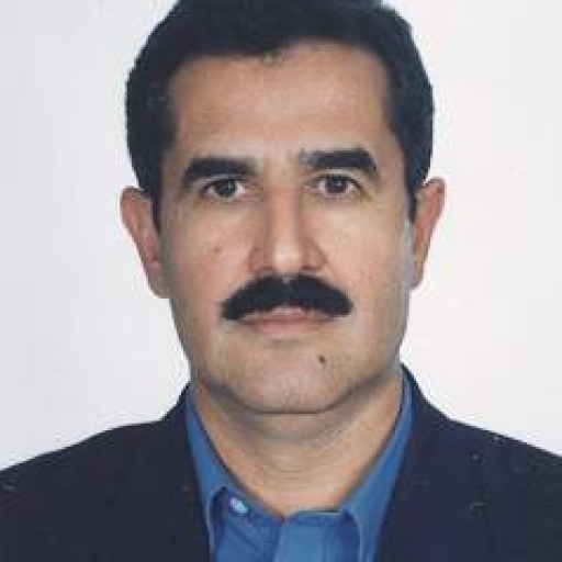 تصویر سید محمد هادی علوی کاخکی