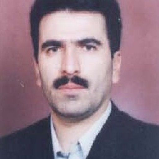 تصویر مجتبی نصر آزادانی