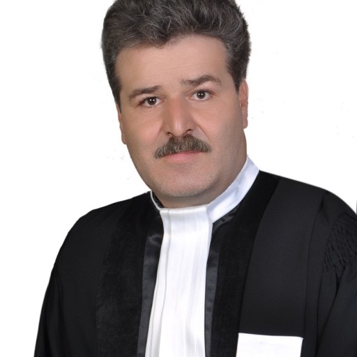 تصویر سید رضا حسینی