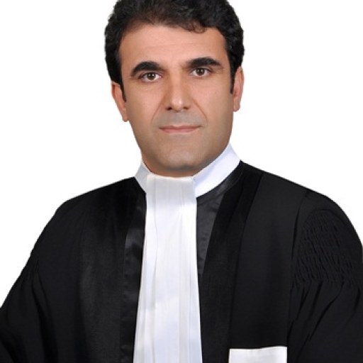 تصویر حمید رضا احمدوند شاهوردی