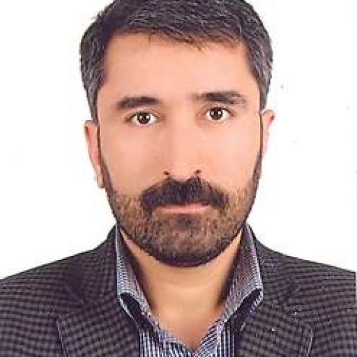 تصویر اصغر حمیدی
