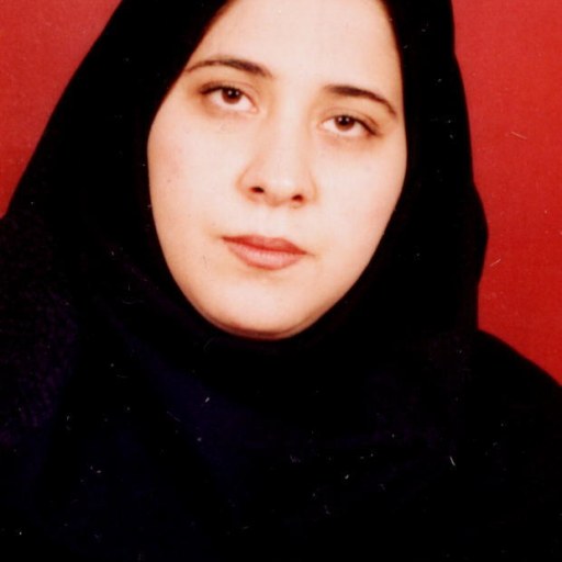 تصویر فهیمه مقیمی