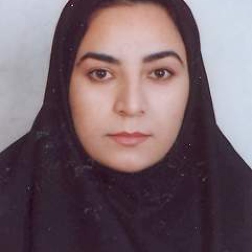 تصویر الهام رباط جزی