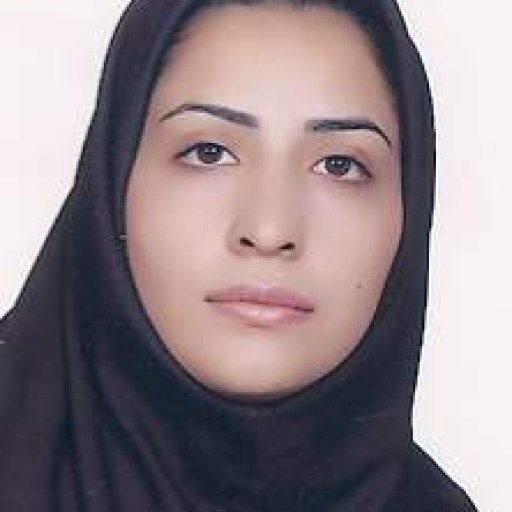 تصویر مینو ناصر قرائی