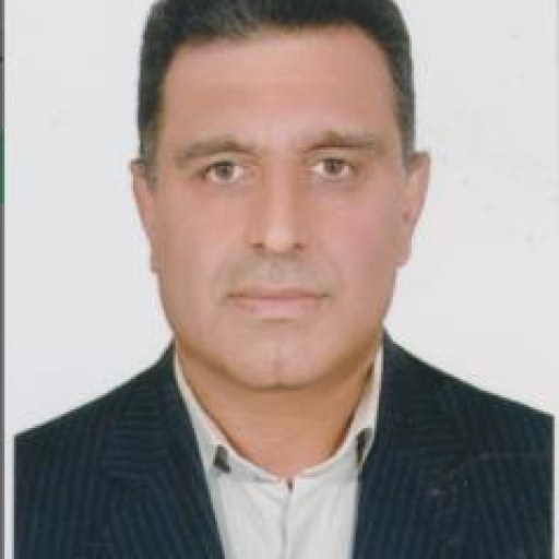 تصویر حجت رضایی بیجارگاه