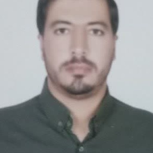 تصویر حامد افضلی