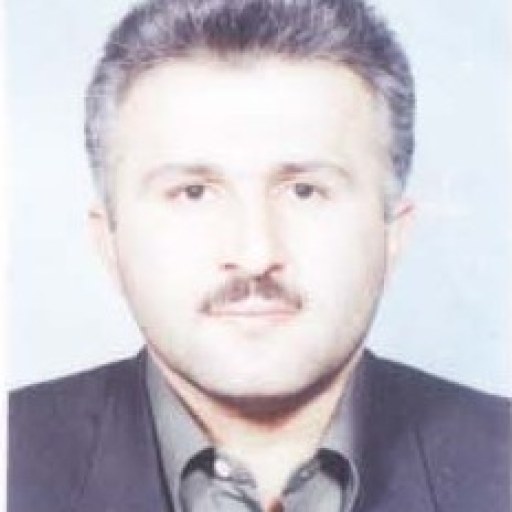 تصویر مهران رمضانی شیر سوار