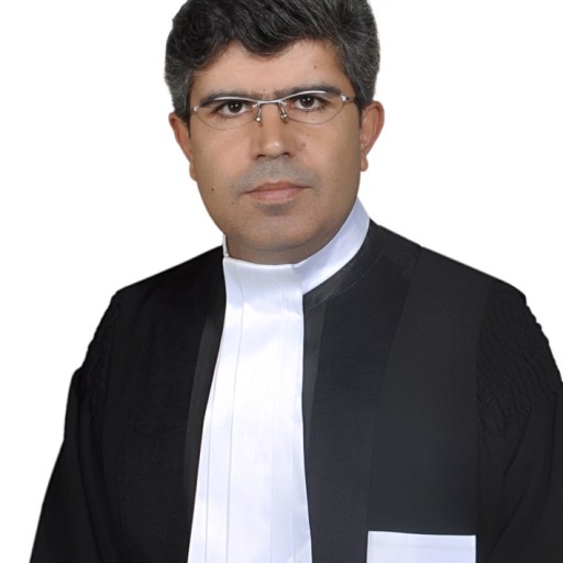 تصویر حسین گودرزی