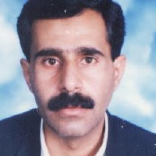 تصویر حمید صادقی
