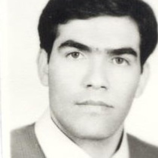 تصویر علی حسینخانی زرین گل
