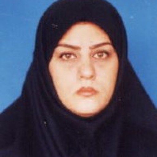 تصویر شراره امین دارالضربی