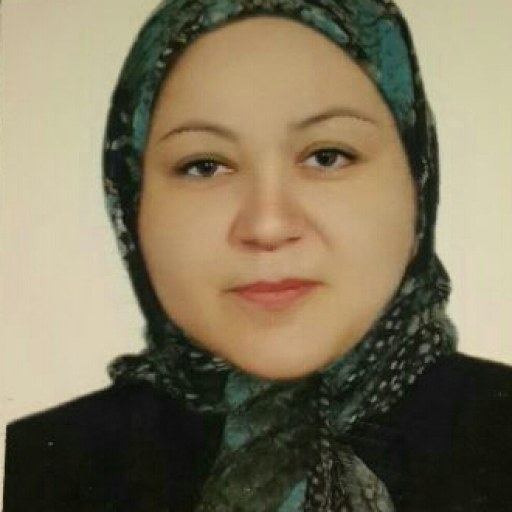 تصویر ویدا اقصائی اصل
