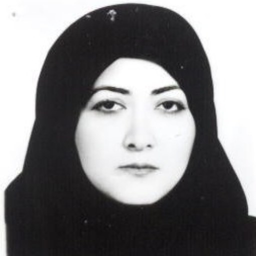 تصویر نگار رهگرای
