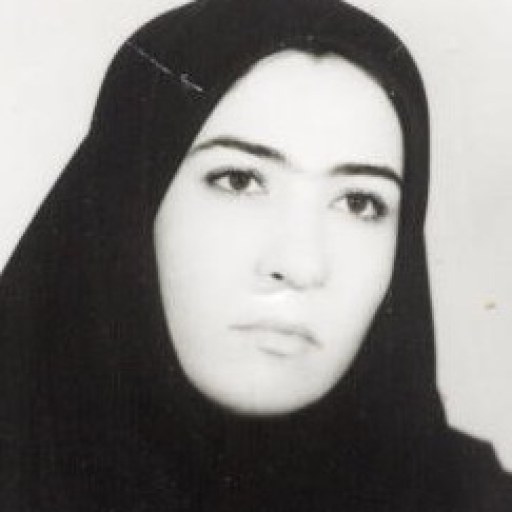 تصویر فاطمه حمیدی