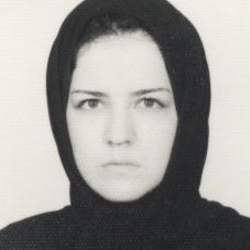 تصویر مهرانگیز سلطان حسینی