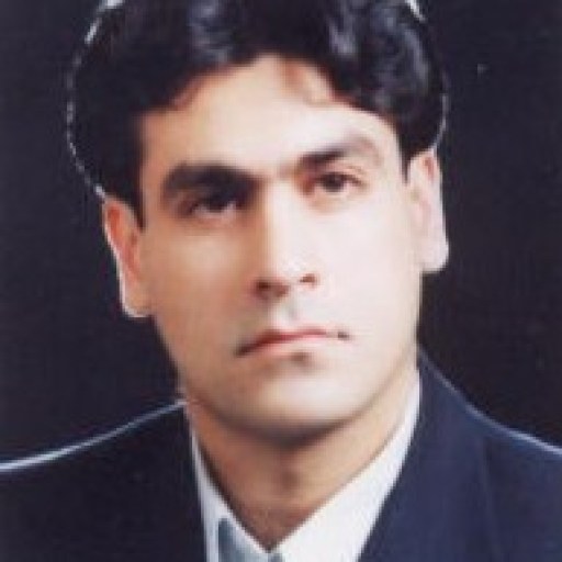 تصویر محمدرضا محمودی فریمانی