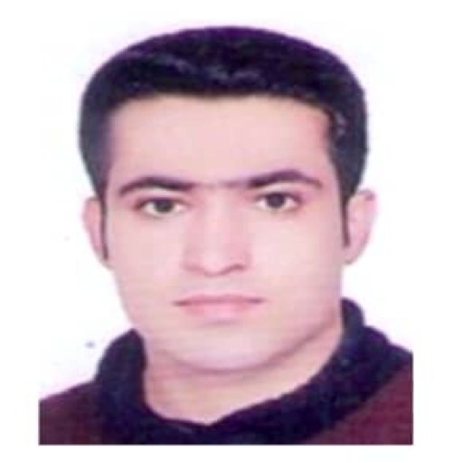تصویر فردین شفیقی